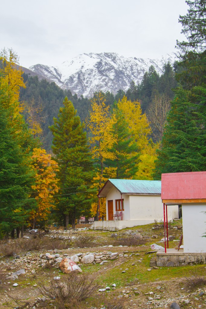 PTDC Hotel in Naran